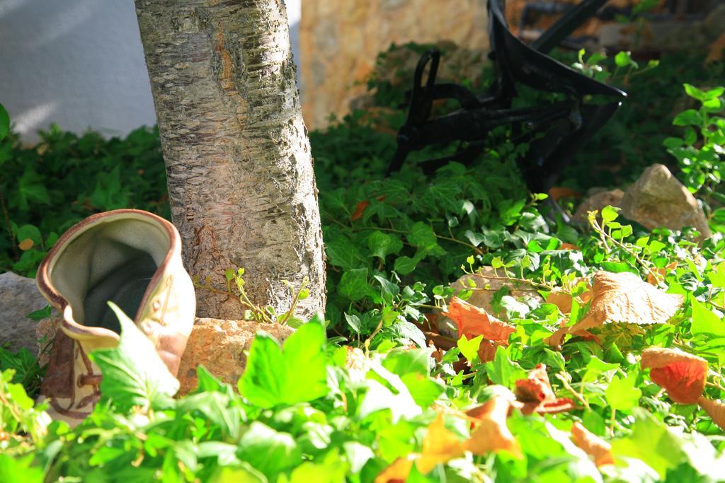 Villa Columbus Family Boutique Hotel Παγκουέρα Εξωτερικό φωτογραφία