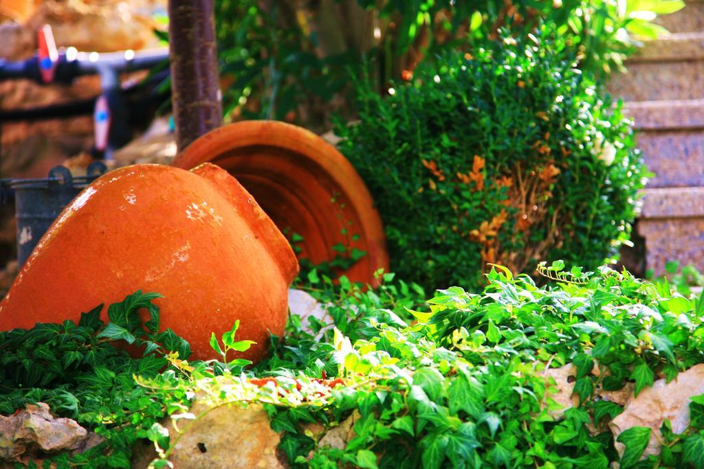 Villa Columbus Family Boutique Hotel Παγκουέρα Εξωτερικό φωτογραφία