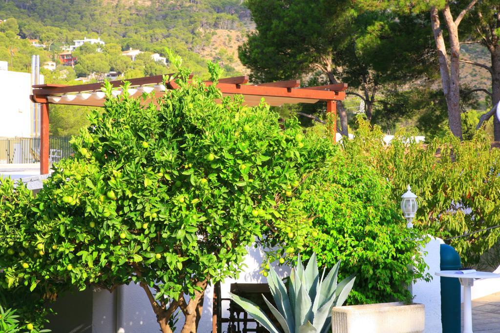 Villa Columbus Family Boutique Hotel Παγκουέρα Εξωτερικό φωτογραφία